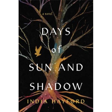 Days of Sun and Shadow