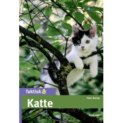 Katte