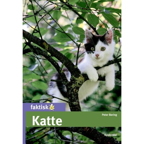 Katte