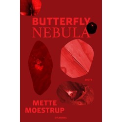 Butterfly Nebula