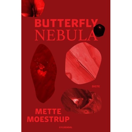 Butterfly Nebula