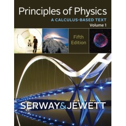 Principles of Physics: A Calculus-Based Text, Volume 1