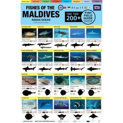 Maldives Fish Field Guide "Top 200+"