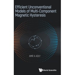 Efficient Unconventional Models Of Multi-component Magnetic Hysteresis