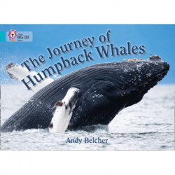 The Journey of Humpback Whales: Band 07/Turquoise