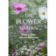 Flower Garden: How to Grow Flowers from Seed