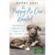 The Puppy No One Wanted: The young dog desperate for a home to call his own