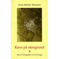Korn på stengrund