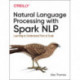 Natural Language Processing with Spark NLP: Learning to Understand Text at Scale