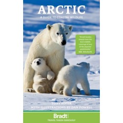The Arctic