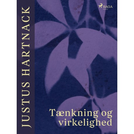 Tænkning og virkelighed