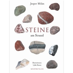 STEINE: am Strand