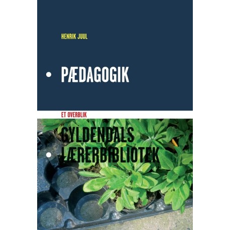Pædagogik: Et overblik