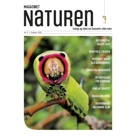 Magasinet Naturen Nr. 2 - 2024