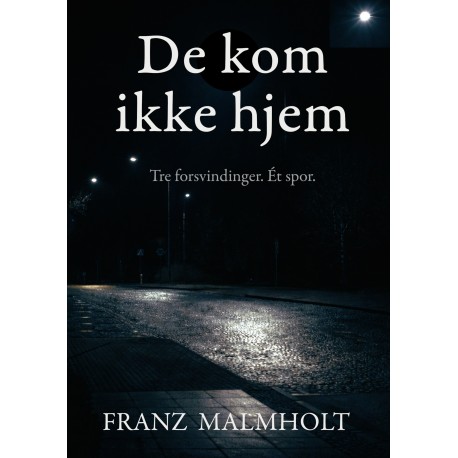 De kom aldrig hjem: Tre forsvindinger. Ét spor