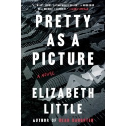 Pretty As A Picture: A Novel