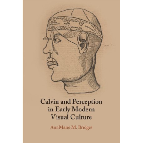 Calvin and Perception in Early Modern Visual Culture