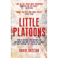 Little Platoons: How a revived One Nation can empower England's forgotten towns and redraw the political map