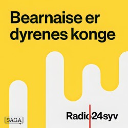 Årets Kok semifinale