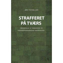 Strafferet på tværs: Bekæmpelse af terrorisme og grænseoverskridende kriminalitet