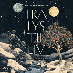 Fra lys til liv: En atomfysiker om universets love og skabelsens mysterium