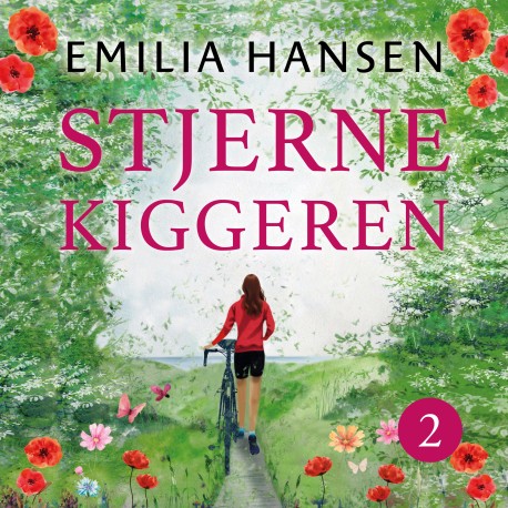 Stjernekiggeren - del 2