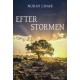 Efter stormen