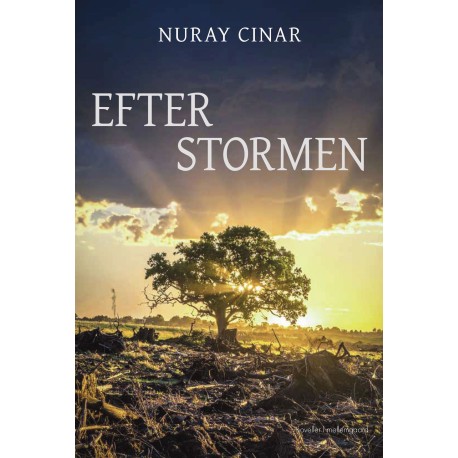 Efter stormen