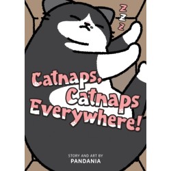 Catnaps, Catnaps Everywhere!