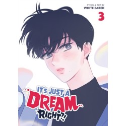 It's Just a Dream... Right?! (Comic) Vol. 3
