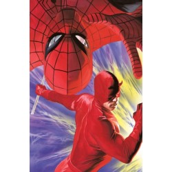 Spider-Man & Daredevil