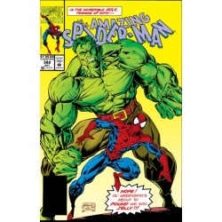 Spider-Man & Hulk