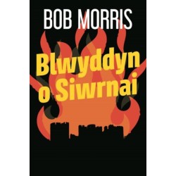 Blwyddyn o Siwrnai