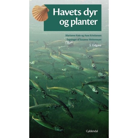 Havets dyr og planter
