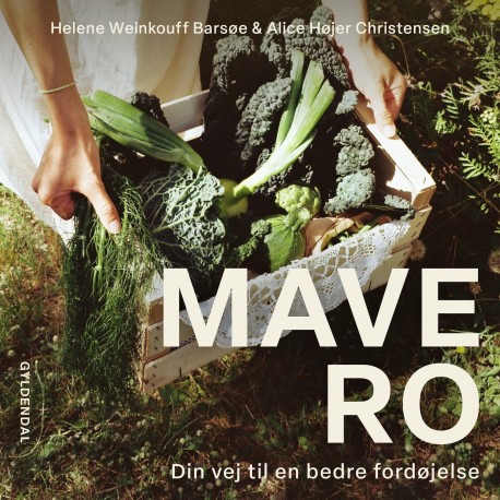 Mavero: Din vej til en bedre fordøjelse