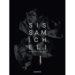On Transient Phenomena: Sissa Micheli