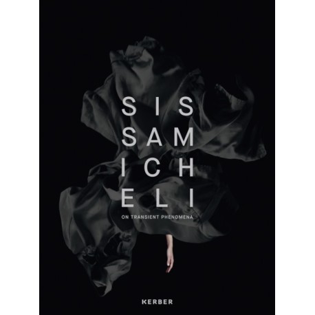 On Transient Phenomena: Sissa Micheli
