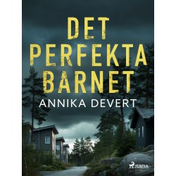 Det perfekta barnet