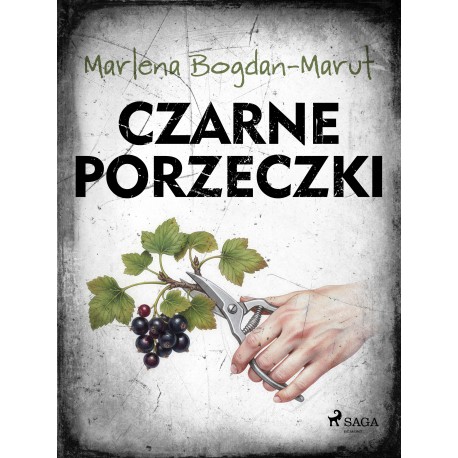 Czarne porzeczki