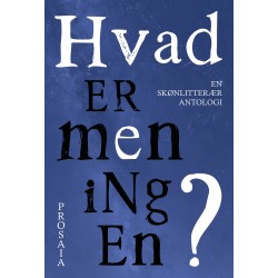 Hvad er meningen?: En skønlitterær antologi