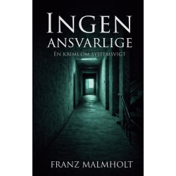 Ingen ansvarlige: En krimi om systemsvigt