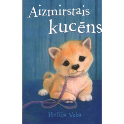 Aizmirstais Kucns