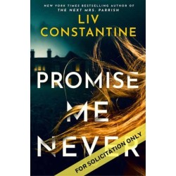Promise Me Never: A Novel