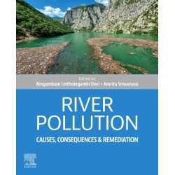 River Pollution: Causes, Consequences and Remediation