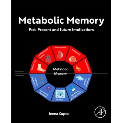 Metabolic Memory: Past, Present and Future Implications