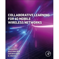 Collaborative Learning for 6G Mobile Wireless Networks