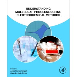 Understanding Molecular Processes using Electrochemical Methods