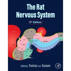 The Rat Nervous System