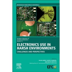 Electronics Use in Harsh Environments: Challenges and Perspectives