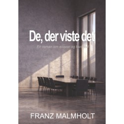 De der viste det: en roman om ansvar og tavshed